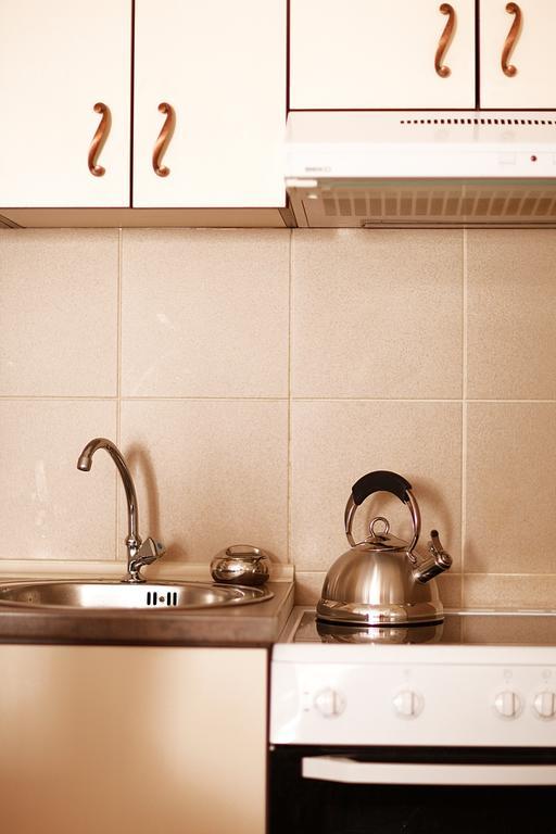Studio Apartment Nika Andusa Petrovac الغرفة الصورة