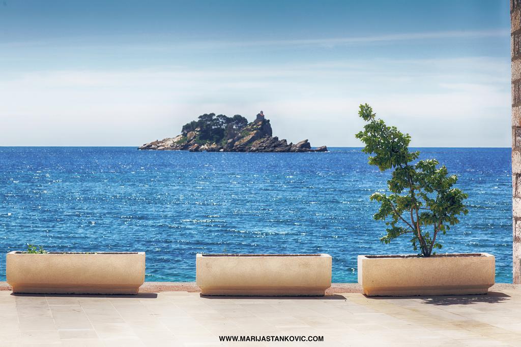 Studio Apartment Nika Andusa Petrovac المظهر الخارجي الصورة