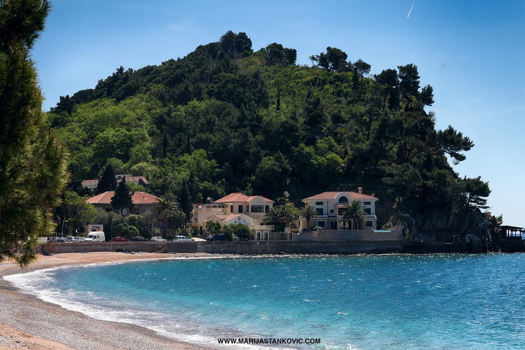 Studio Apartment Nika Andusa Petrovac المظهر الخارجي الصورة