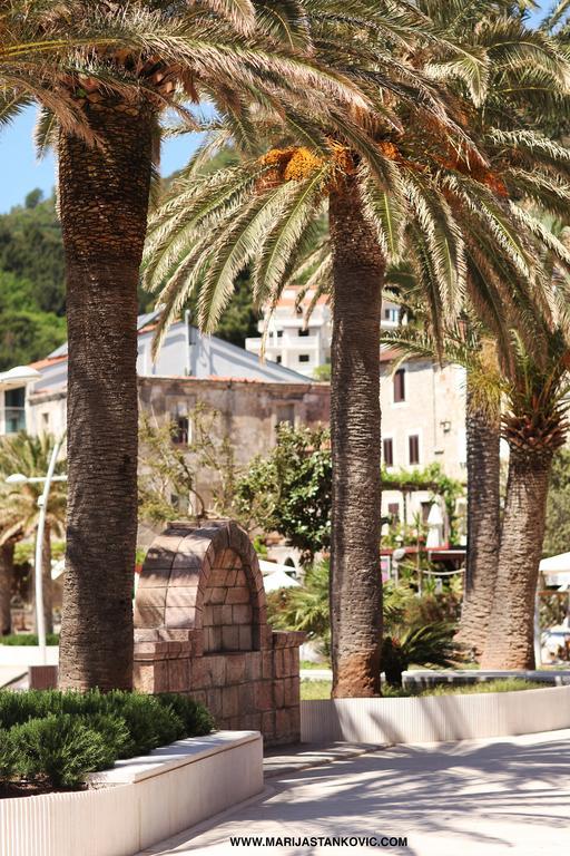 Studio Apartment Nika Andusa Petrovac المظهر الخارجي الصورة